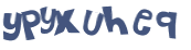 CAPTCHA 挑戰