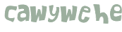 Wyzwanie captcha