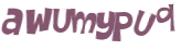 CAPTCHA 挑戰