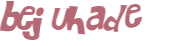 Prueba Captcha