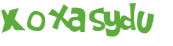 CAPTCHA 挑戰
