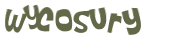 Wyzwanie captcha