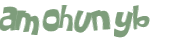Captcha 챌린지