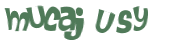 Desafio captcha