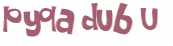 CAPTCHA 挑戰