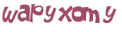 CAPTCHA 挑戰