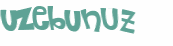 Captcha挑战