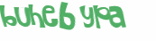 Wyzwanie captcha