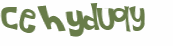 Captcha 챌린지