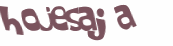 Captcha challenge