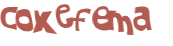 CAPTCHA 挑戰