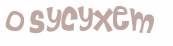 CAPTCHA 挑戰