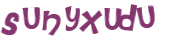 CAPTCHA 挑戰