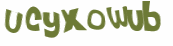 CAPTCHA 挑戰
