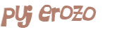 Prueba Captcha