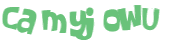 Wyzwanie captcha