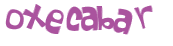 CAPTCHA 挑戰