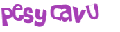 Проверка, что вы не робот