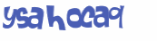 Captchafråga