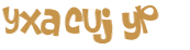 Desafio captcha