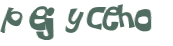 CAPTCHA 挑戰
