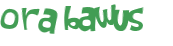 CAPTCHA-haaste