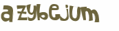 Wyzwanie captcha