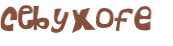 Captcha 챌린지