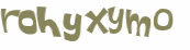 CAPTCHA 挑戰