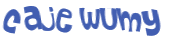Sfida captcha