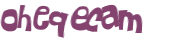 CAPTCHA 挑戰
