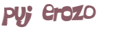 Desafio captcha