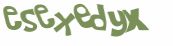 Wyzwanie captcha