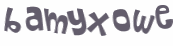 Captcha 챌린지