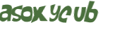 Captcha-Test