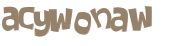 CAPTCHA 挑戰