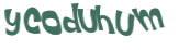 CAPTCHA 挑戰