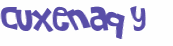 CAPTCHA 挑戰