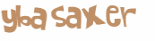 CAPTCHA 挑戰