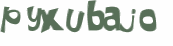 CAPTCHA-haaste