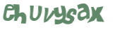 CAPTCHA 挑戰