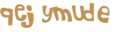Wyzwanie captcha