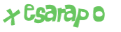 Captcha 챌린지