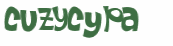 CAPTCHA 挑戰