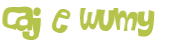 Wyzwanie captcha