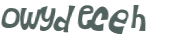 CAPTCHA 挑戰