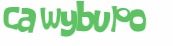 CAPTCHA-haaste