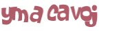 Desafio captcha