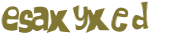 CAPTCHA 挑戰