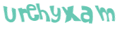 Captcha 챌린지
